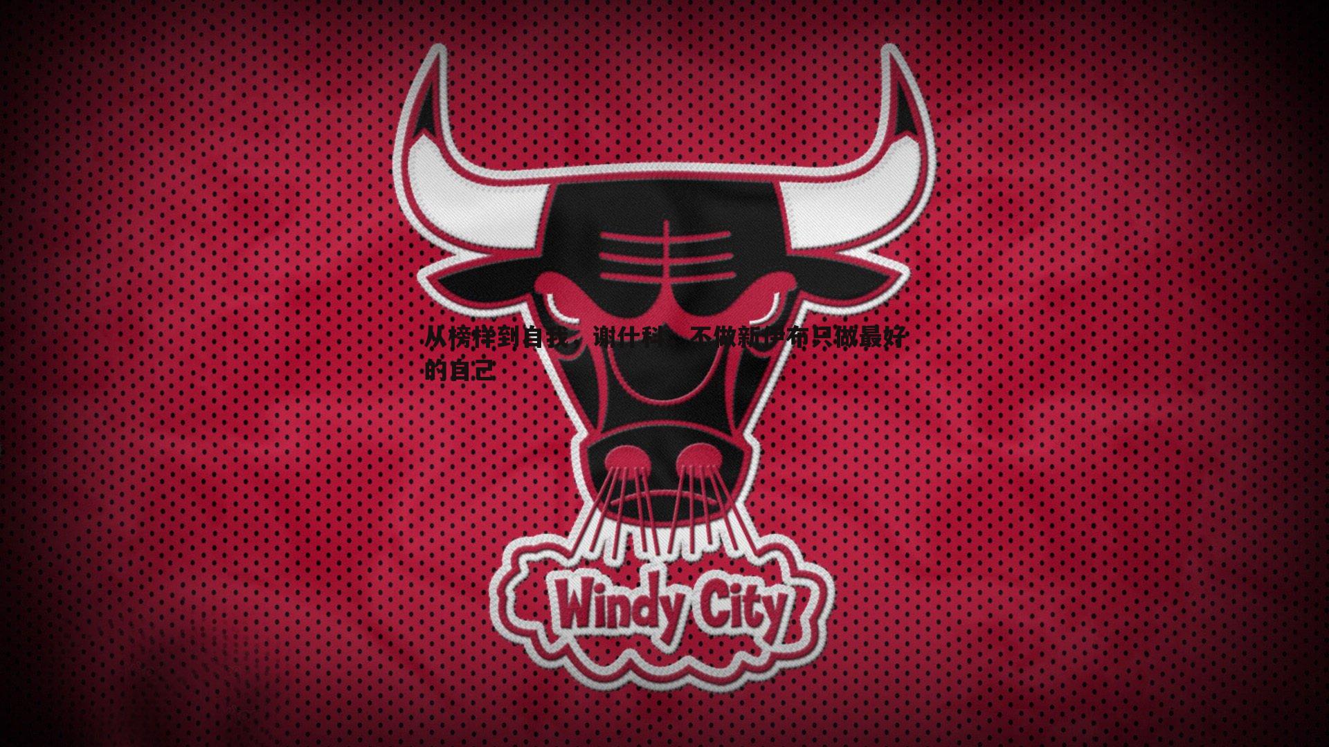 从榜样到自我，谢什科，不做新伊布只做最好的自己